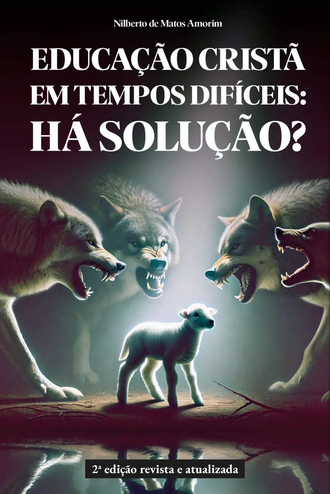Capa do livro Educação Cristã em tempos difíceis